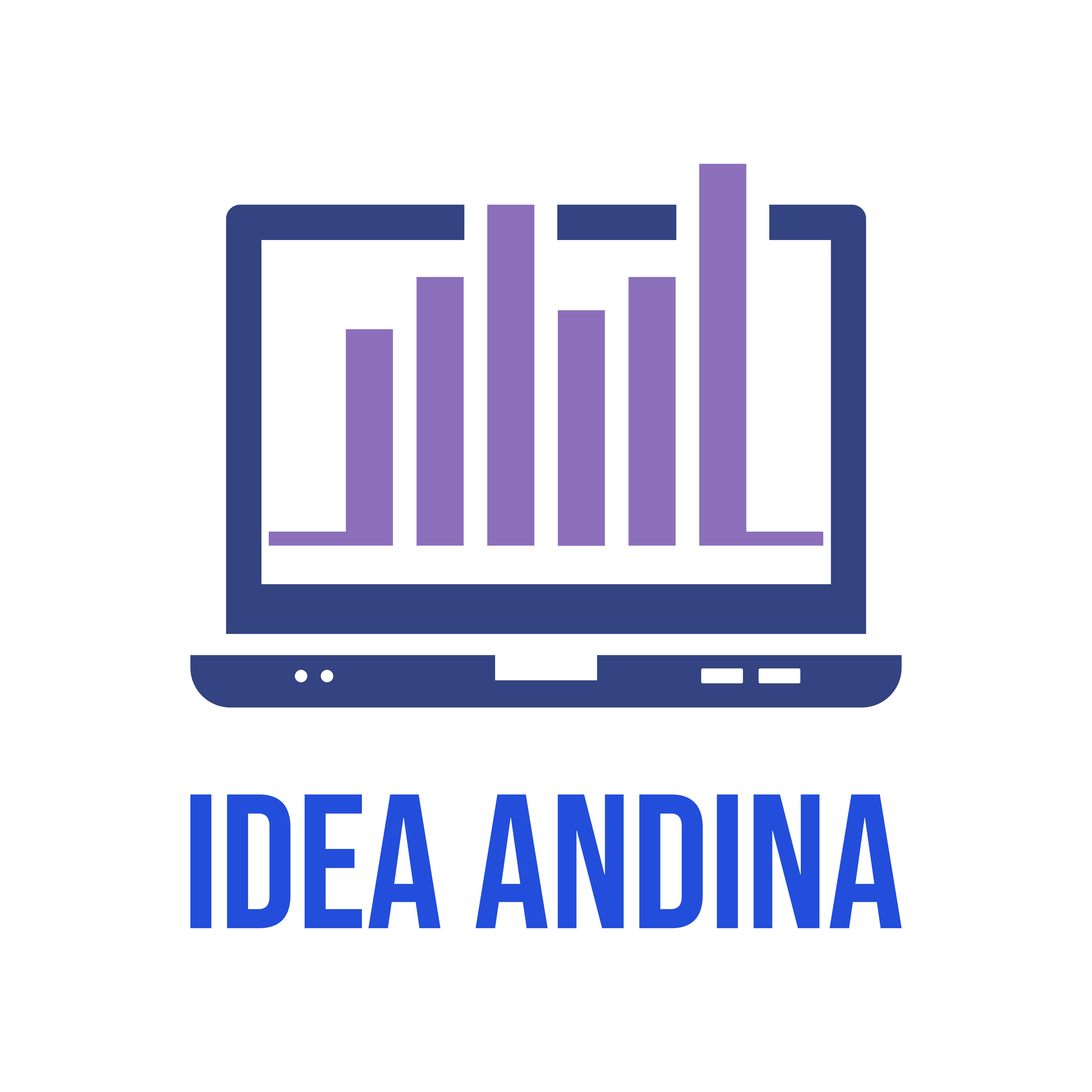 Idea Andina - marketing digital y analítica web